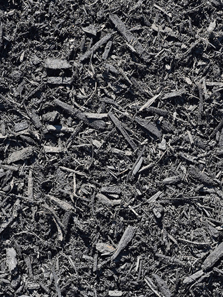 Black Mulch